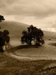 Wine, sex, money and