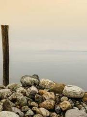 Who taught you to be Who taught you to be