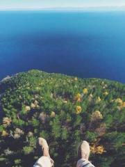 Mysterious Cool Trea Mysterious Cool Trea