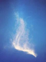 The Stand-in Wife Wa The Stand-in Wife Wa