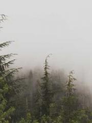 The Taoist nun was f The Taoist nun was f