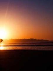 Get a wife to farm w Get a wife to farm w