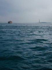 The Beloved Physicia The Beloved Physicia