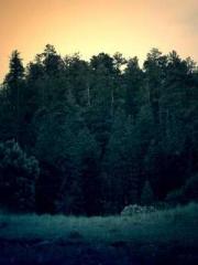 A Spicy Wife from th