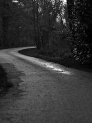 A Lifetime of Captiv