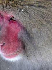 Shu Tinglan Lawyer Z Shu Tinglan Lawyer Z