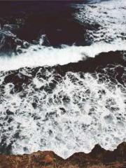 The Best Little Body