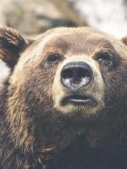 The beloved little b The beloved little b