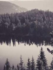 Good harvests bring Good harvests bring