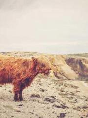 Love and him lt;lt;l