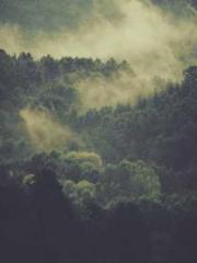 lt;lt;lt;lt;Yearning lt;lt;lt;lt;Yearning