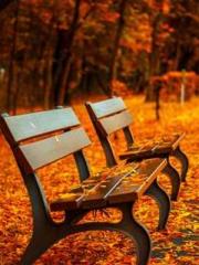 One Pregnancy, Two B One Pregnancy, Two B