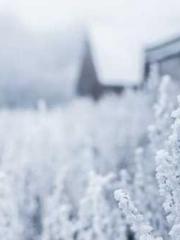 Going down the mount Going down the mount