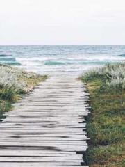 My seven stunning an