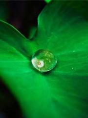 Rebirth in 1970: Eat