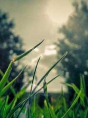 lt;Heavenly Fire Dyn