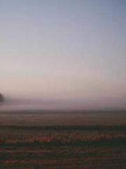 The Urban Immortal V The Urban Immortal V