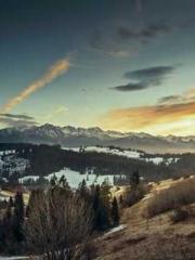 Did Miss Kamo just b Did Miss Kamo just b