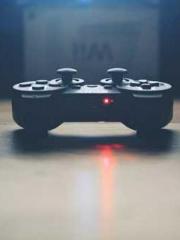 The Daring Wife of a