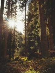 My Amazing Female Te