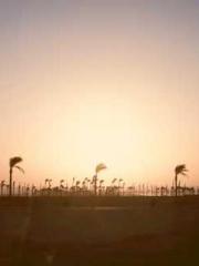 After Transmigrating