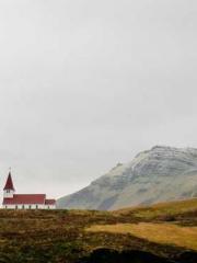 The Substitute Wife The Substitute Wife