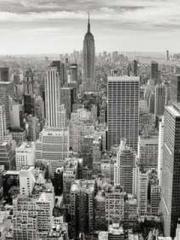 lt;lt;lt;Back to the lt;lt;lt;Back to the