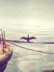 My pets are all amaz