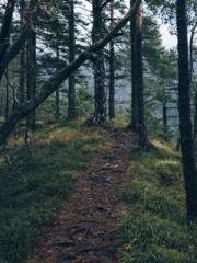 lt;Mr. Bao, Mrs. Bao lt;Mr. Bao, Mrs. Bao