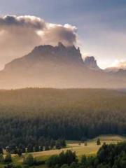 Retired War God Yang